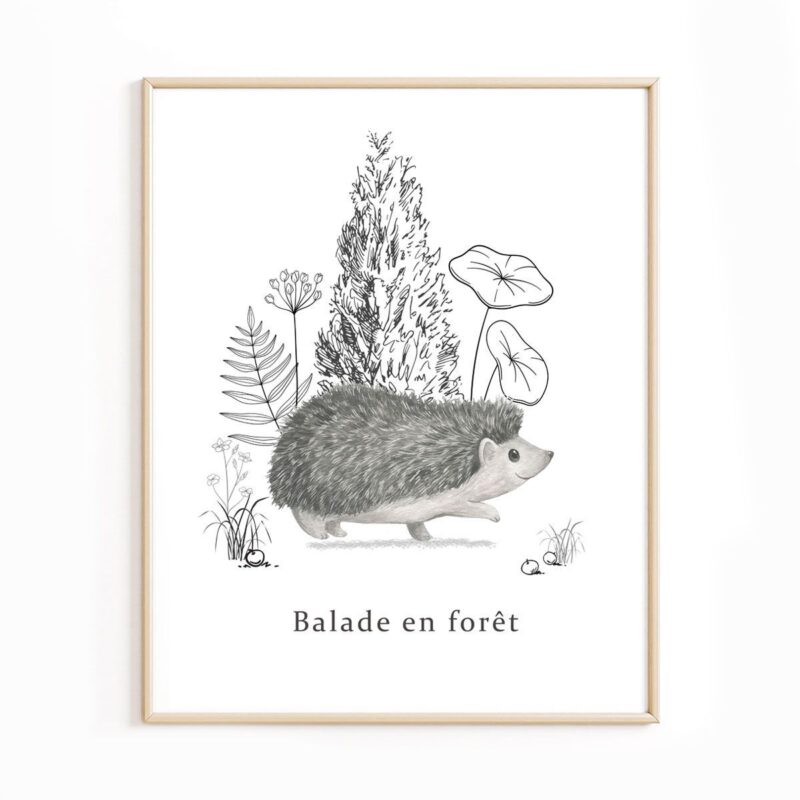affiche-balade-en-forêt