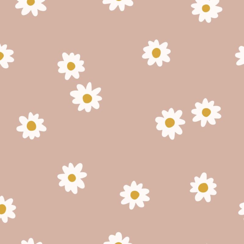 marguerite-rose
