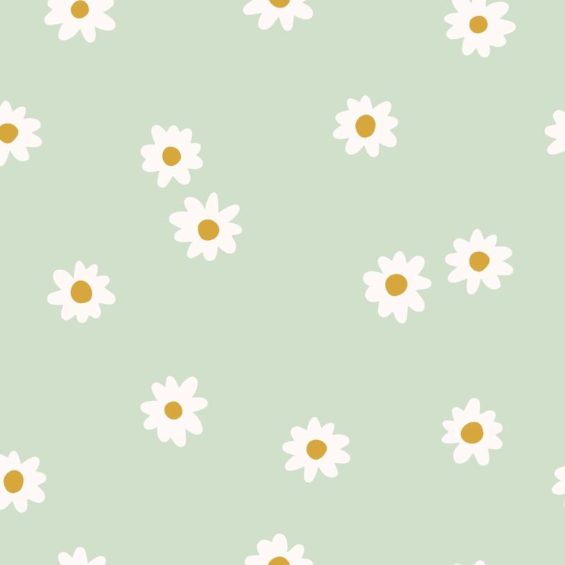 marguerite-vert